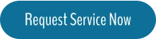 Request Service Now